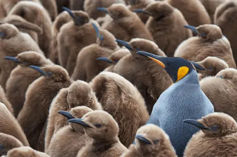 我們可提供干燥劑定制服務(wù)滿(mǎn)足各位客戶(hù)的不同需求